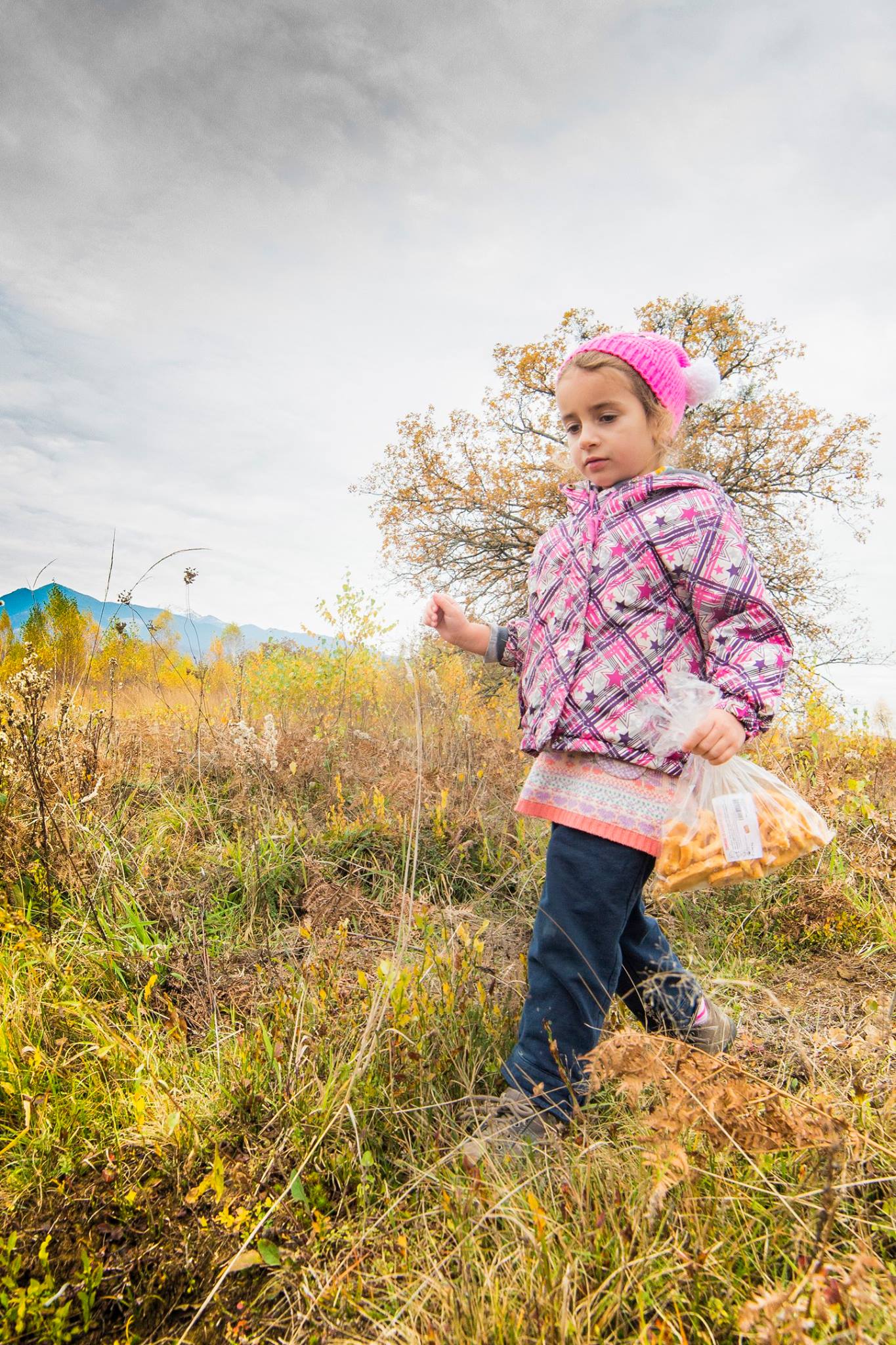 Arpasu Iarna 2016 Preview 3